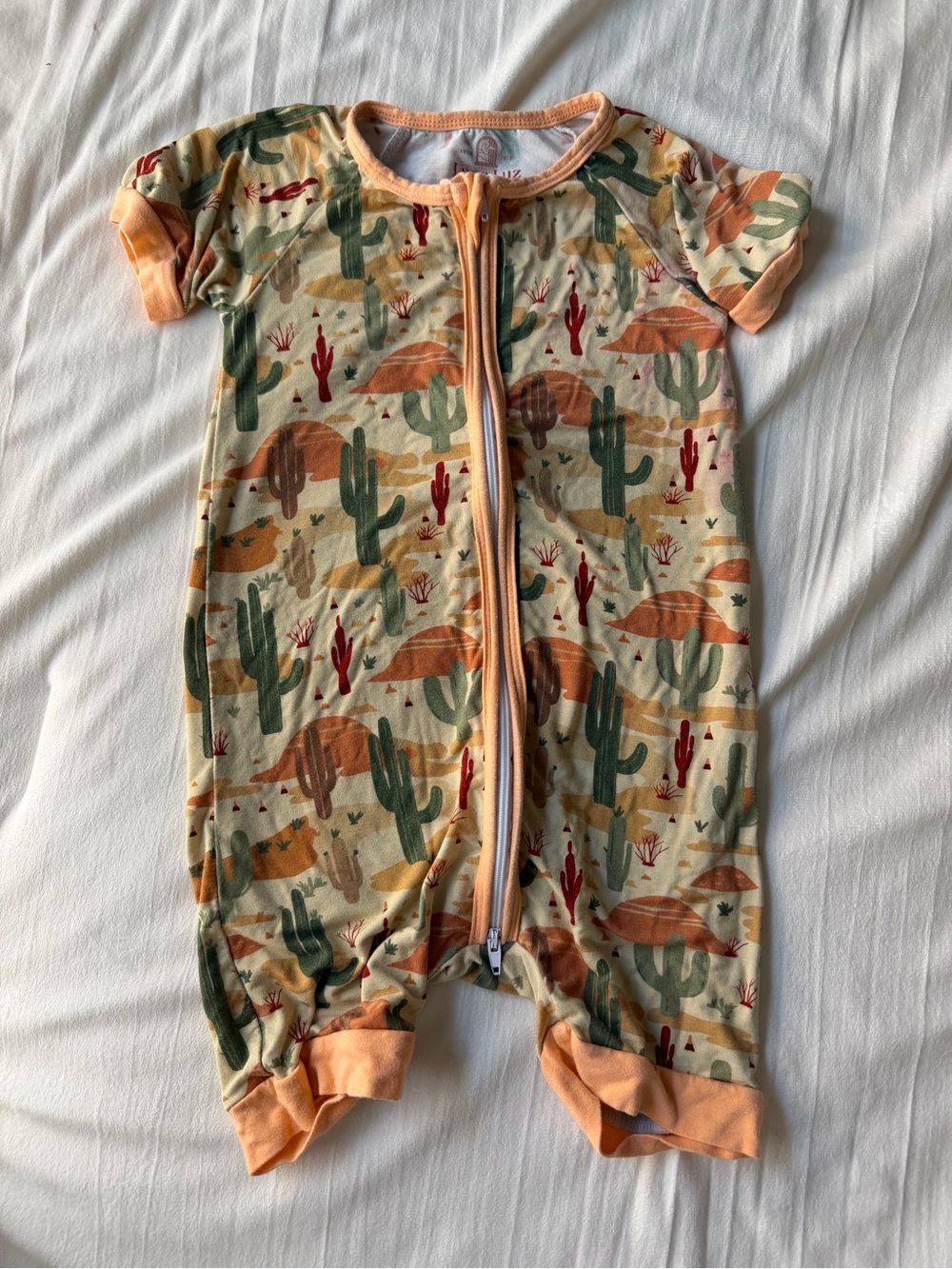 Desert Cactus Short-Sleeve Baby One-Piece in Peach & Green